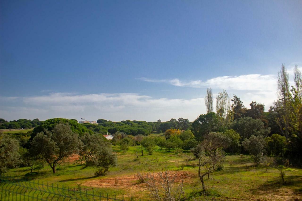 Villa Yvonne,Private Pool,Private Parking 1,7 Km From The Beatch Albufeira Exterior photo